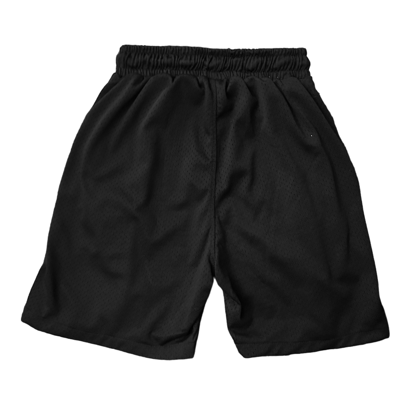 Welcome DHS Mesh Shorts