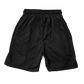 Welcome DHS Mesh Shorts